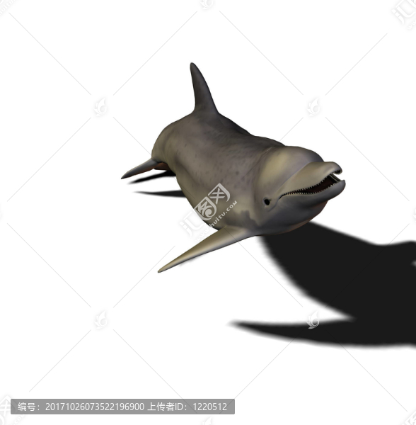 動物