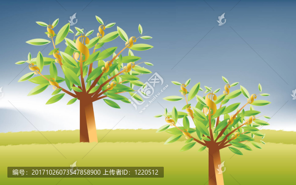 樹