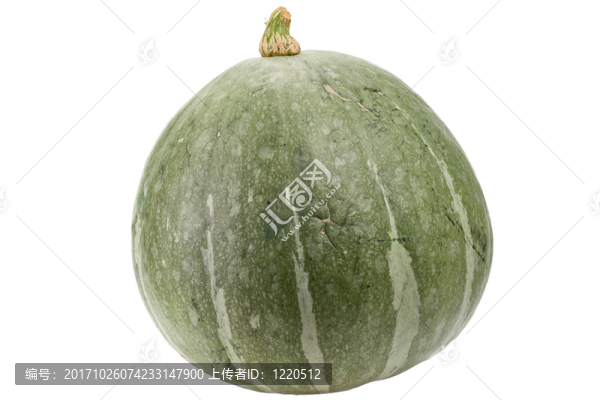 萬(wàn)圣節(jié)南瓜離體植物kurbis健康健康isoliert