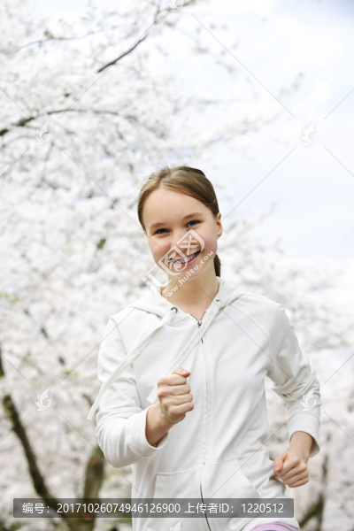 樹