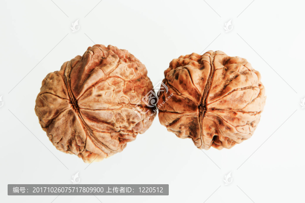 食品