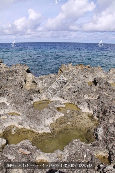 開曼群島的巖石海岸
