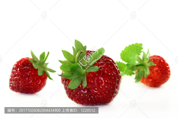 草莓