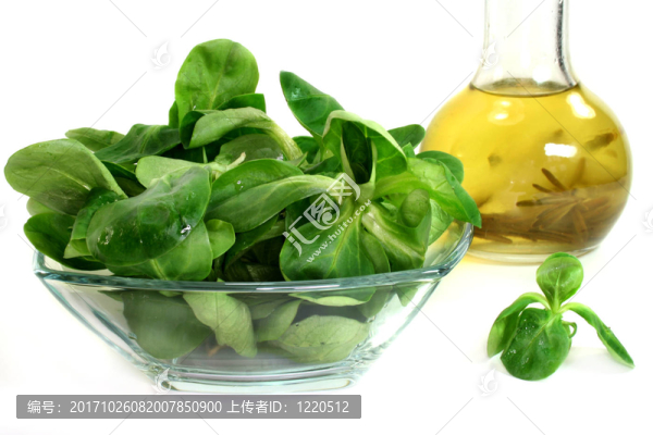 羔羊的生菜