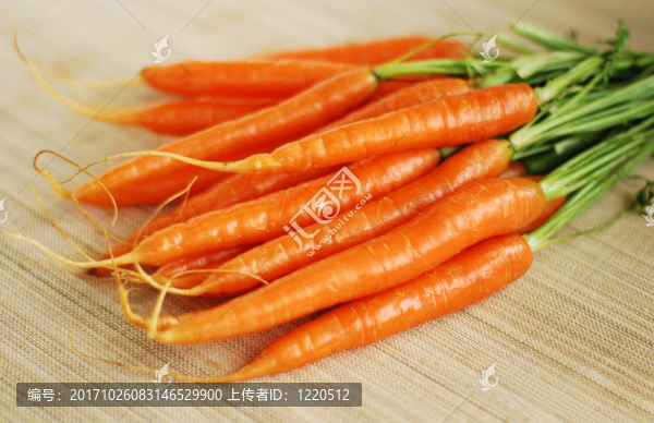 胡蘿卜外灘