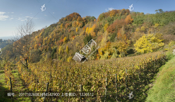 herbststimmung全景