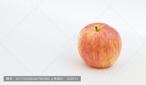 單一的