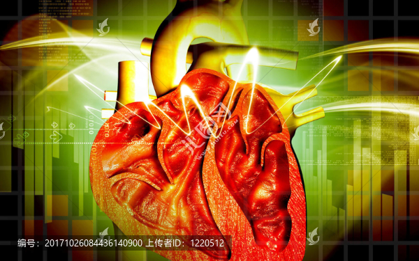 教育