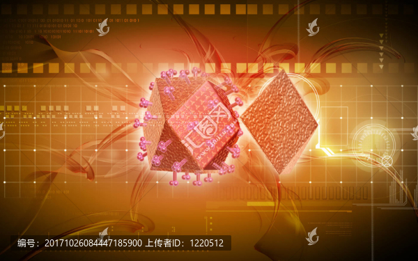 教育