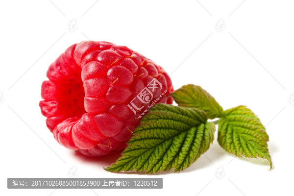 食物