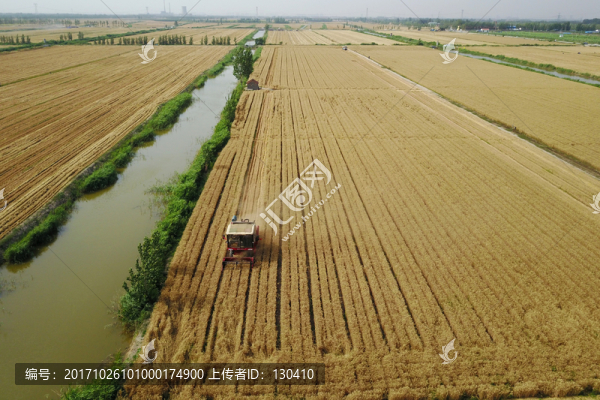 麥?zhǔn)? title=