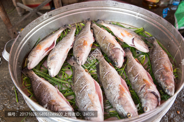 農(nóng)村喜酒,蒸魚