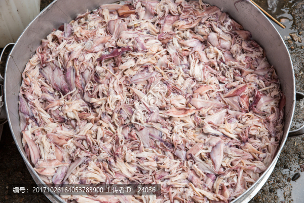農(nóng)村喜酒,魷魚
