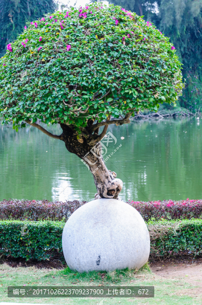 園林綠化景觀