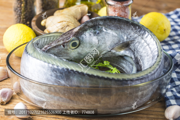 新鮮帶魚