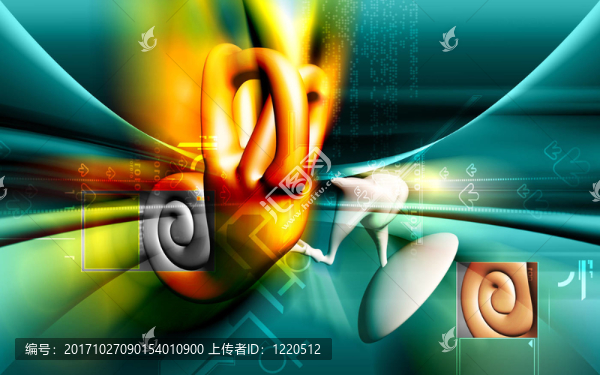 的聲音