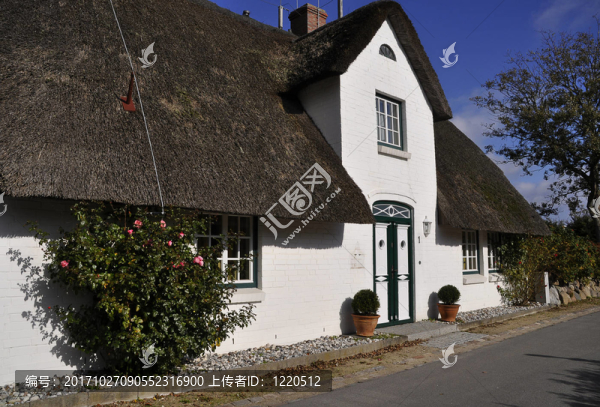白friesenhaus