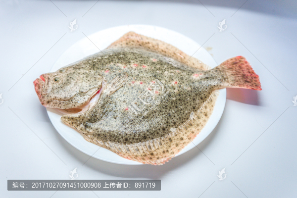 多寶魚,高清大圖