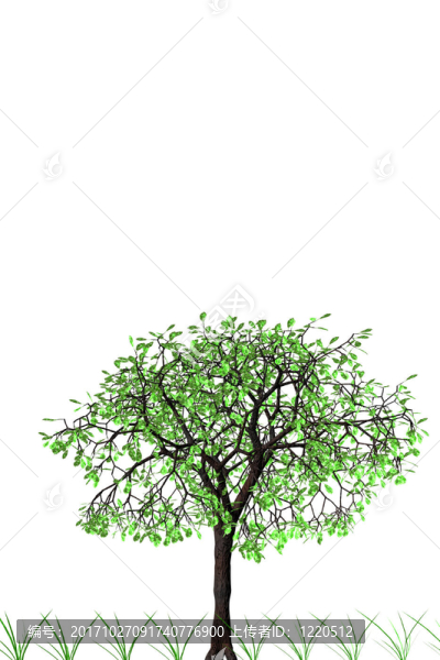 春天的樹(shù)