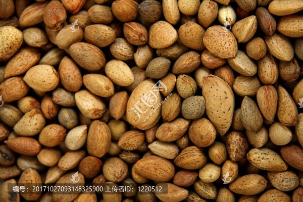 堅(jiān)果