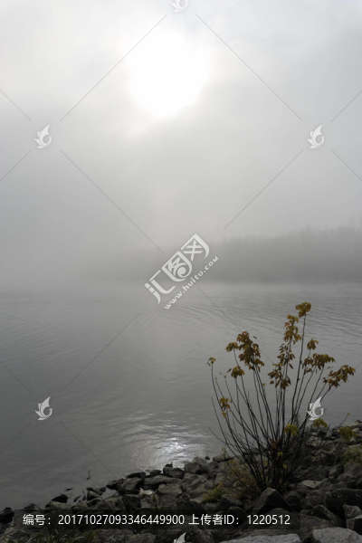 在多瑙河的早晨