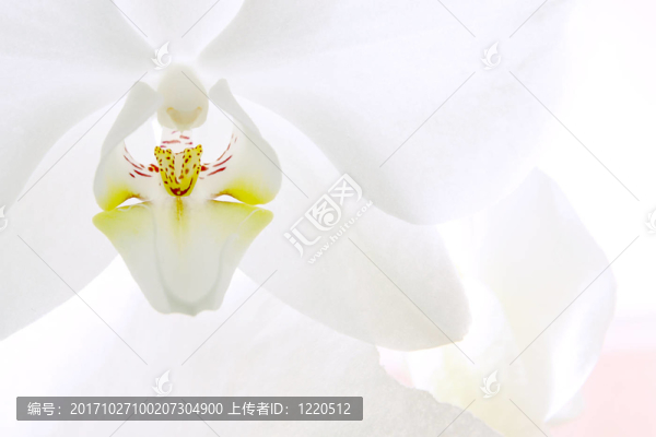 宏觀(guān)上