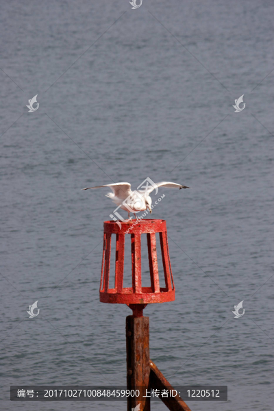 登陸