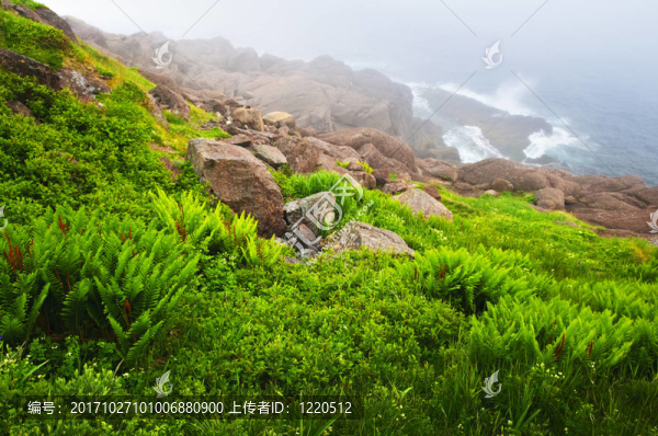 海岸