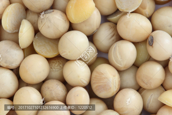 beans