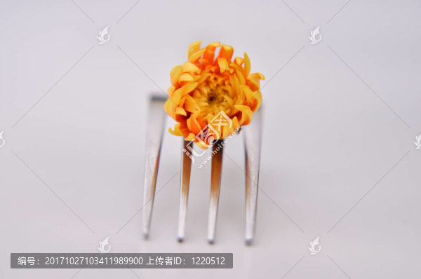 花卉