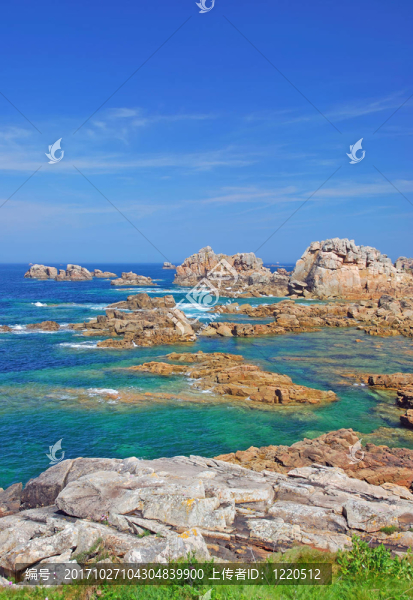 在玫瑰海岸