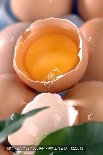 食品
