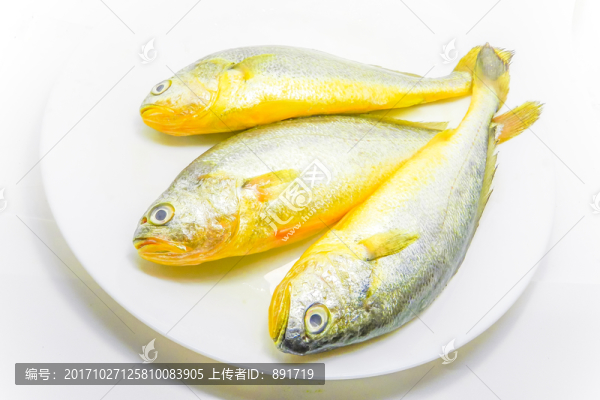 黃花魚,黃魚,高清大圖