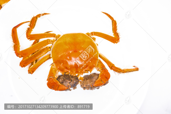 大閘蟹,高清大圖