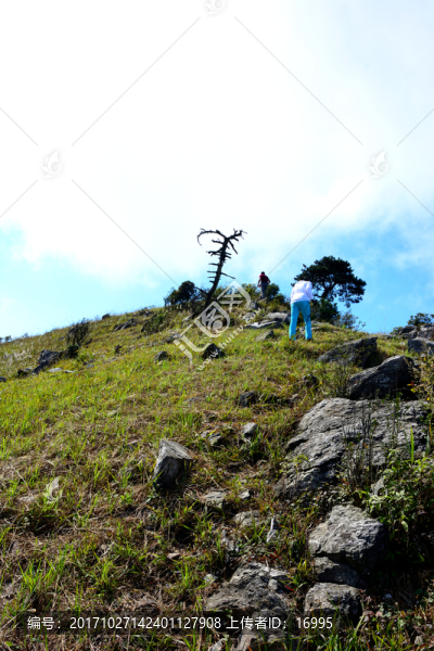 武功山風(fēng)景,武功山景色