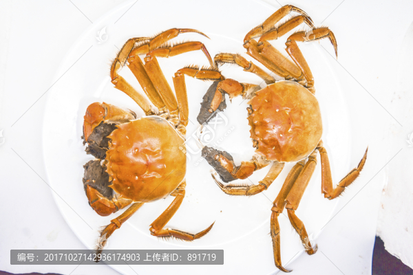 大閘蟹,高清大圖