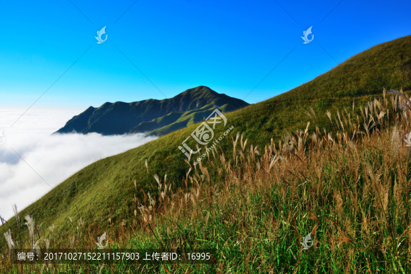 武功山,江西武功山,萍鄉(xiāng)武功山