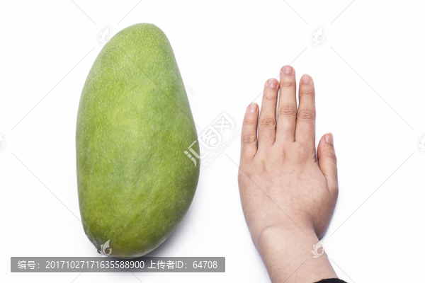 越南進(jìn)口大青芒