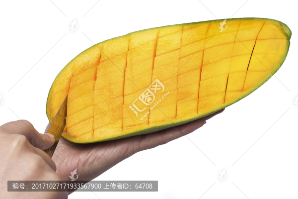 越南進(jìn)口大青芒
