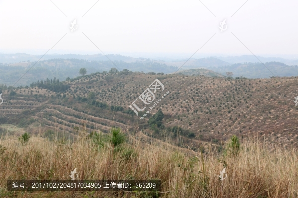 龍王尖風(fēng)景