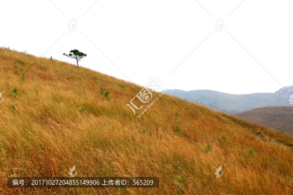 龍王尖風(fēng)景