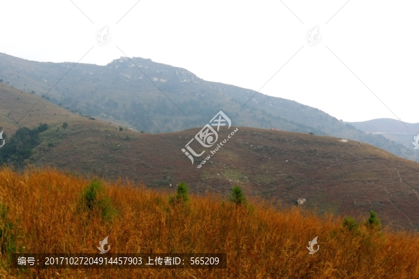 龍王尖風景