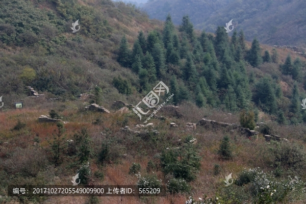 龍王尖風(fēng)景