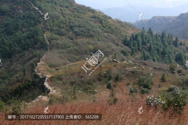 龍王尖風(fēng)景