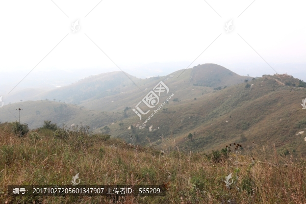 龍王尖風(fēng)景