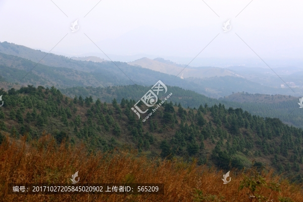 龍王尖風(fēng)景