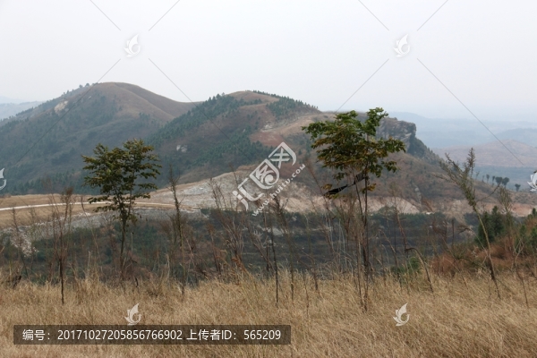 龍王尖風(fēng)景