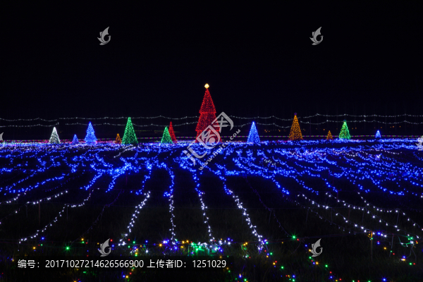 自貢花燈3