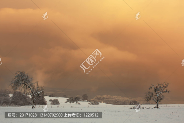 winter