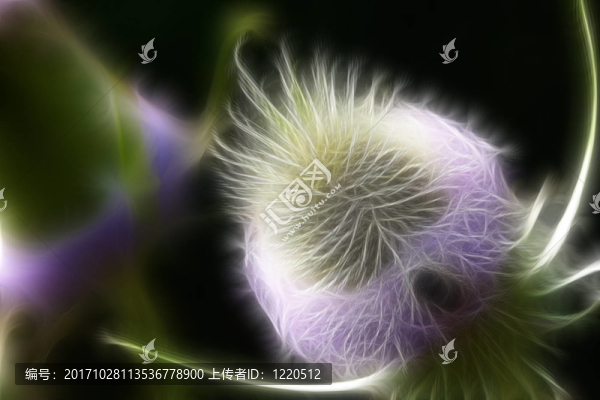 薊